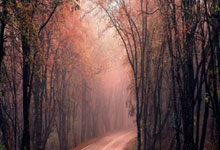 天涯十大神贴盘点，年度网帖天花板何在！（81字）